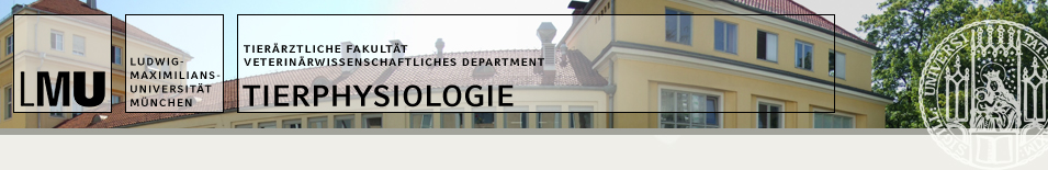 zur Startseite